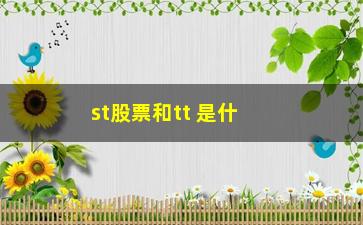 “st股票和tt